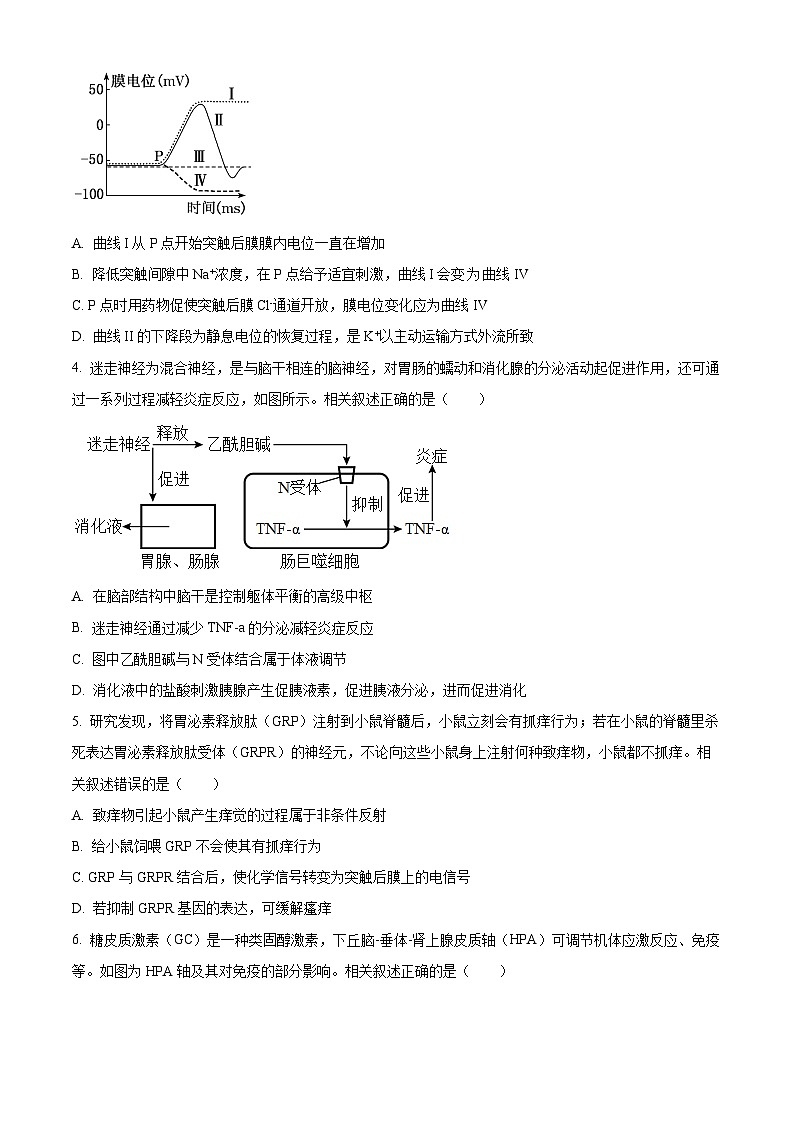2025南通海安高二上学期11月期中考试生物含解析第2页