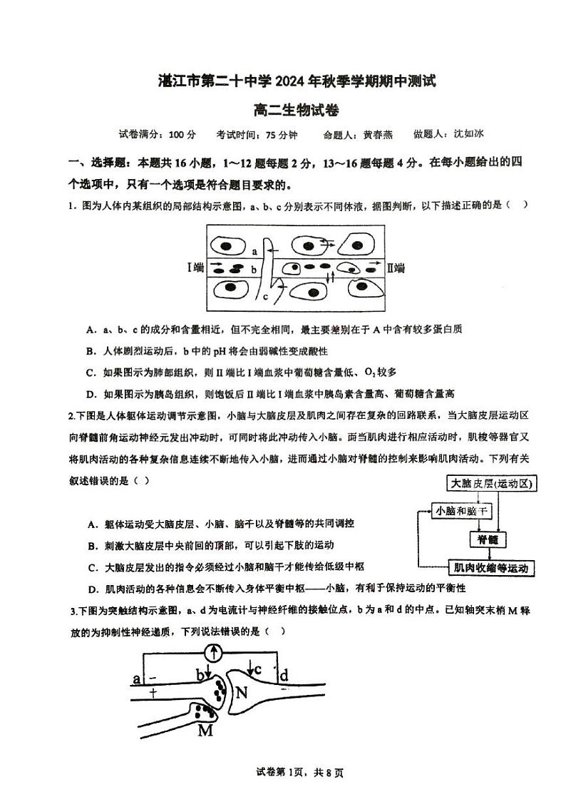 广东省湛江市霞山区湛江市第二十中学2024-2025学年高二上学期11月期中生物试题第1页