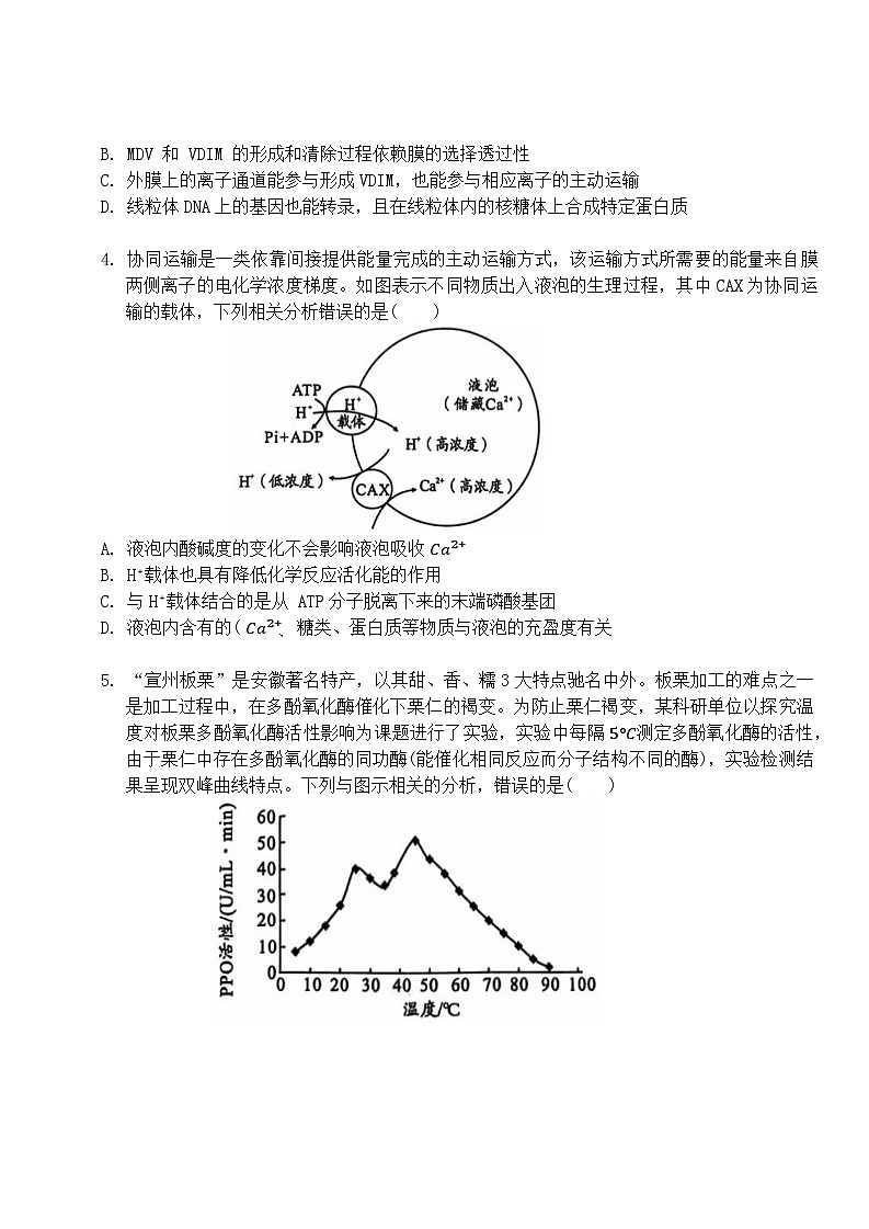 安徽省A10联盟2024~2025学年高三上学期11月月考生物试题第2页