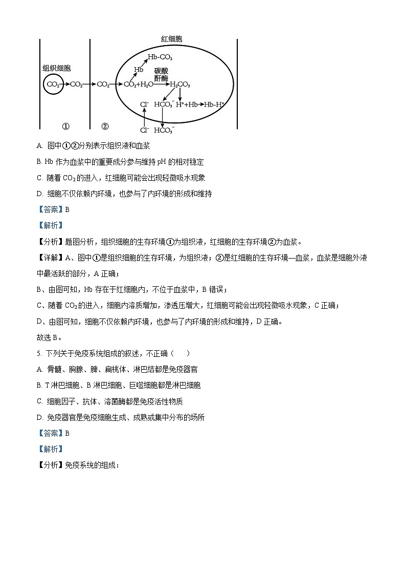 浙江省金兰教育合作组织2024-2025学年高二上学期期中考试生物试卷 Word版含解析第3页