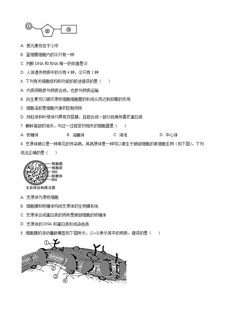 浙江省台州市山海协作体2024-2025学年高一上学期期中联考生物试题 Word版无答案第2页