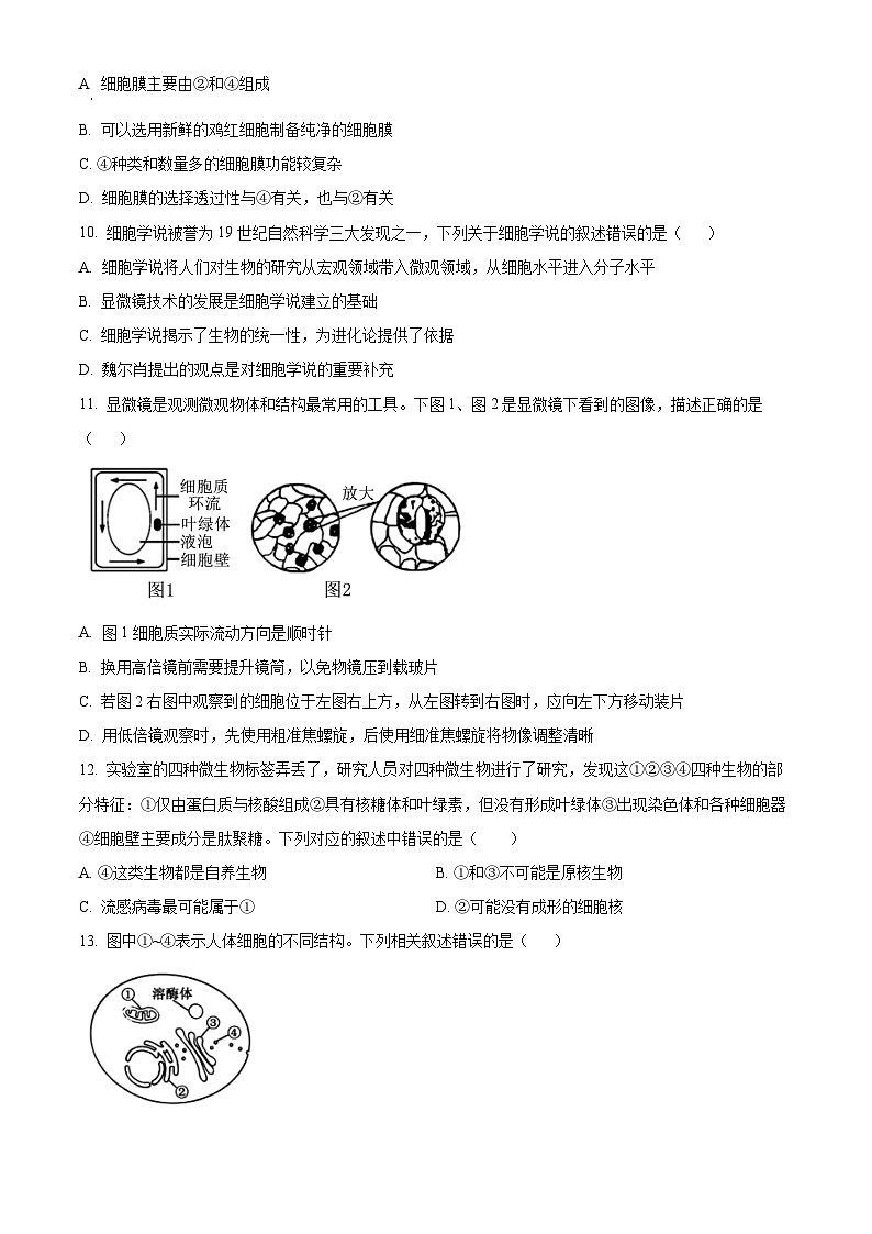 浙江省台州市山海协作体2024-2025学年高一上学期期中联考生物试题 Word版无答案第3页