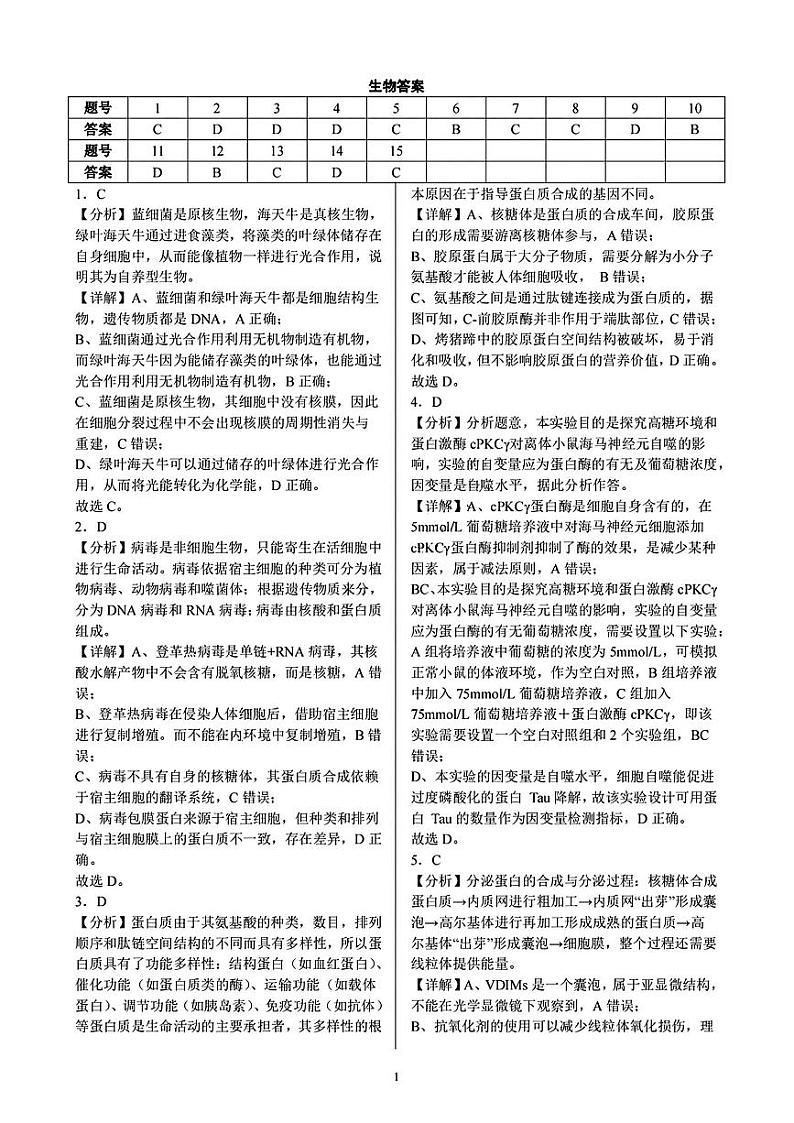 重庆市高2025届拔尖强基联盟高三上10月联合考试+生物试题01