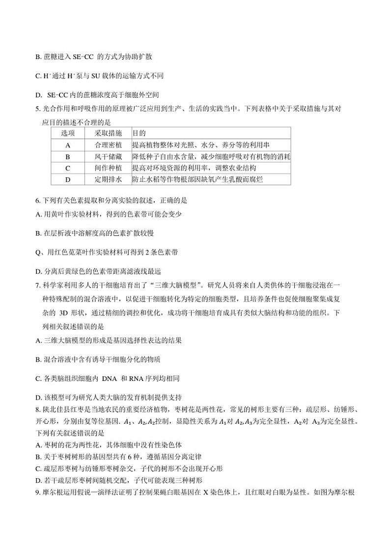 陕西省榆林市2025届高三年级第一次模拟检测生物试卷(含答案)第2页
