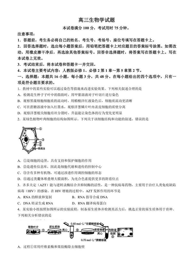 陕西省渭南市韩城市2024～2025学年高三(上)期中生物试卷(含解析)第1页