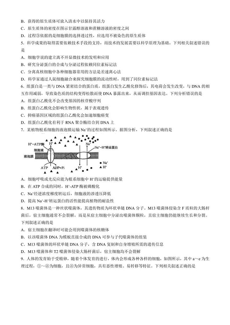 陕西省渭南市韩城市2024～2025学年高三(上)期中生物试卷(含解析)第2页