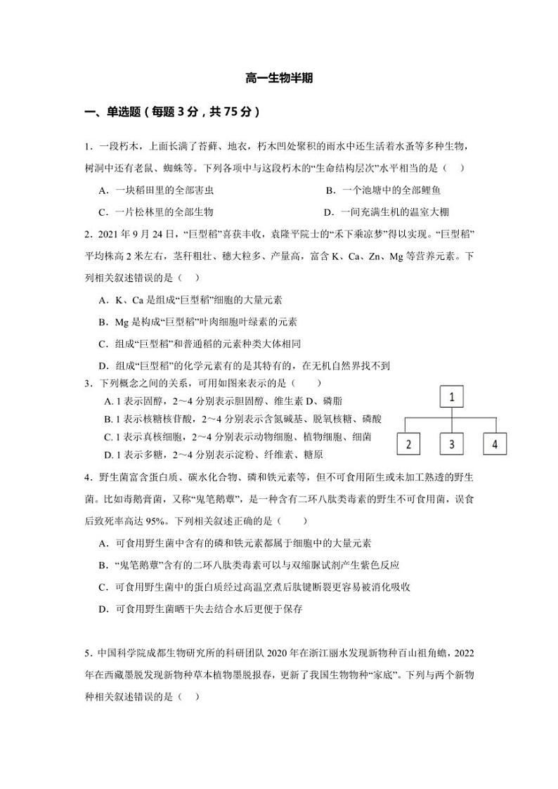 四川省成都市列五中学2024～2025学年高一(上)期中生物试卷(含答案)第1页