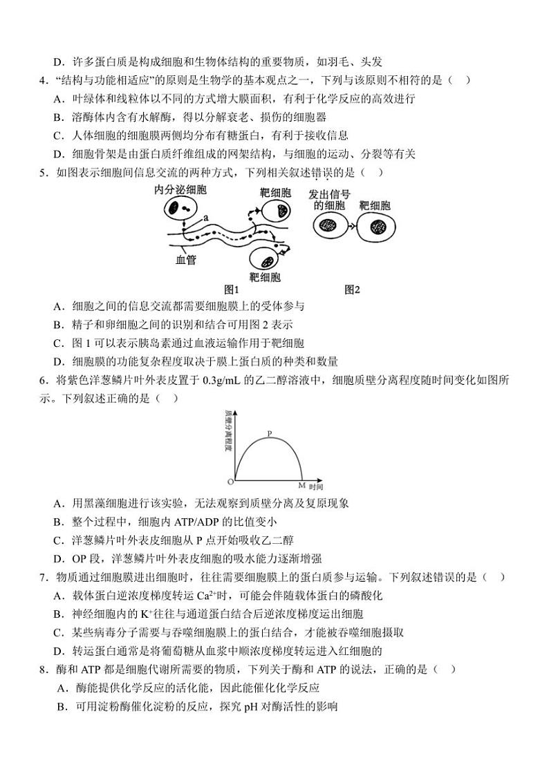 云南省红河哈尼族彝族自治州开远市第一中学校2024～2025学年高二(上)期中检测生物试卷(含答案)02