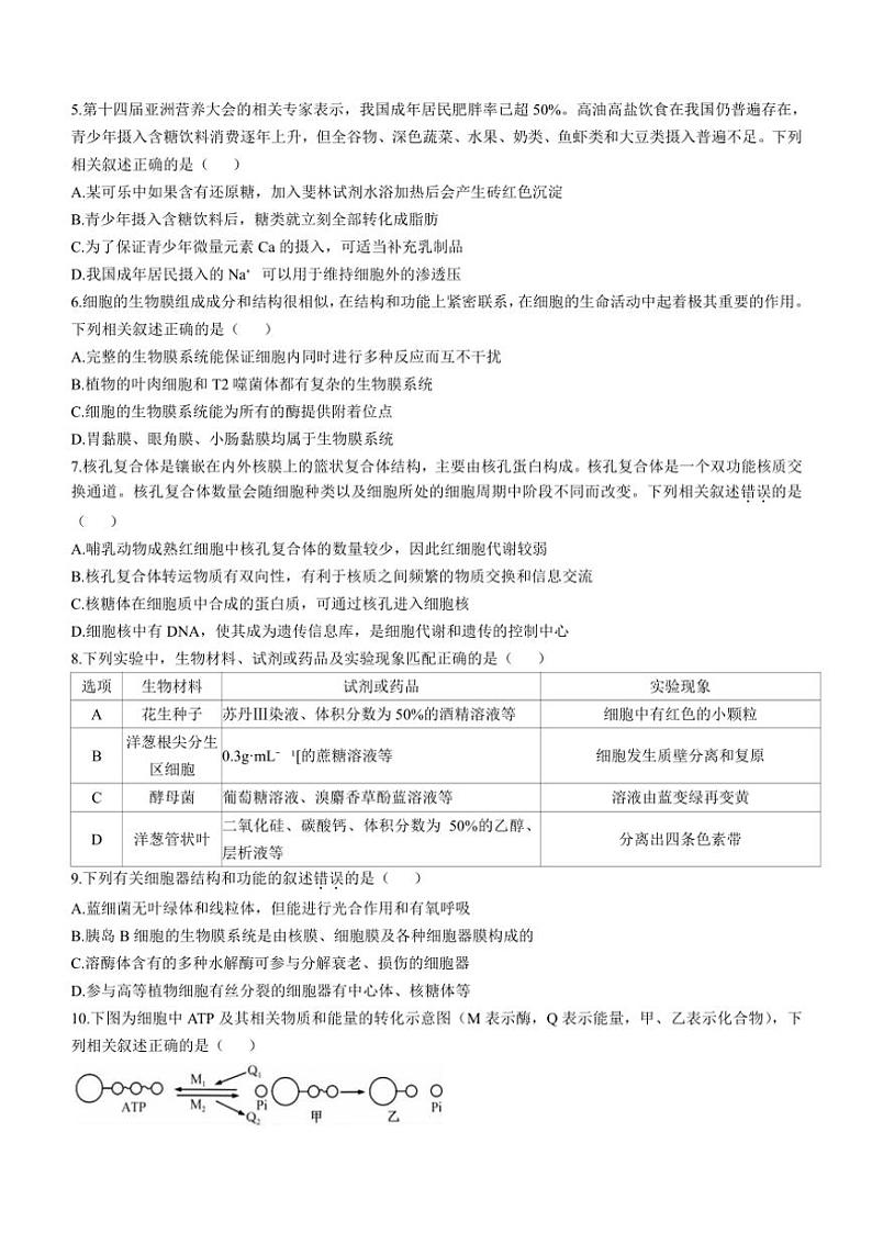 湖北省宜昌市协作体2024～2025学年高三(上)期中生物试卷(含答案)第2页