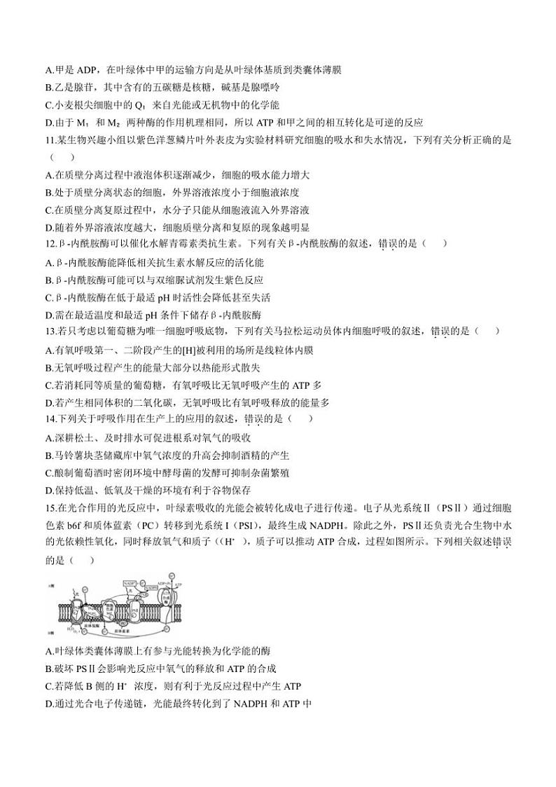 湖北省宜昌市协作体2024～2025学年高三(上)期中生物试卷(含答案)第3页