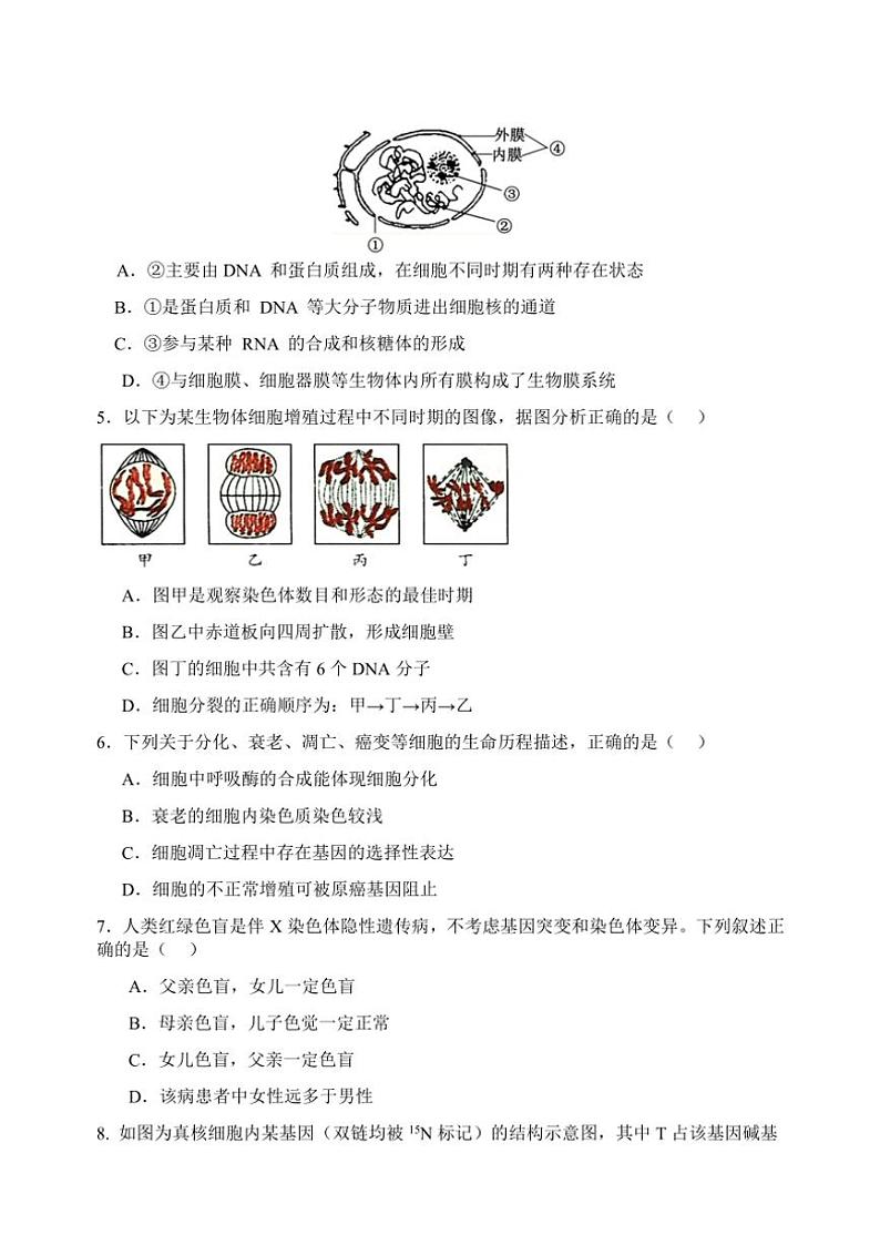 江苏省宿迁市2024～2025学年高三(上)期中生物试卷(含答案)02