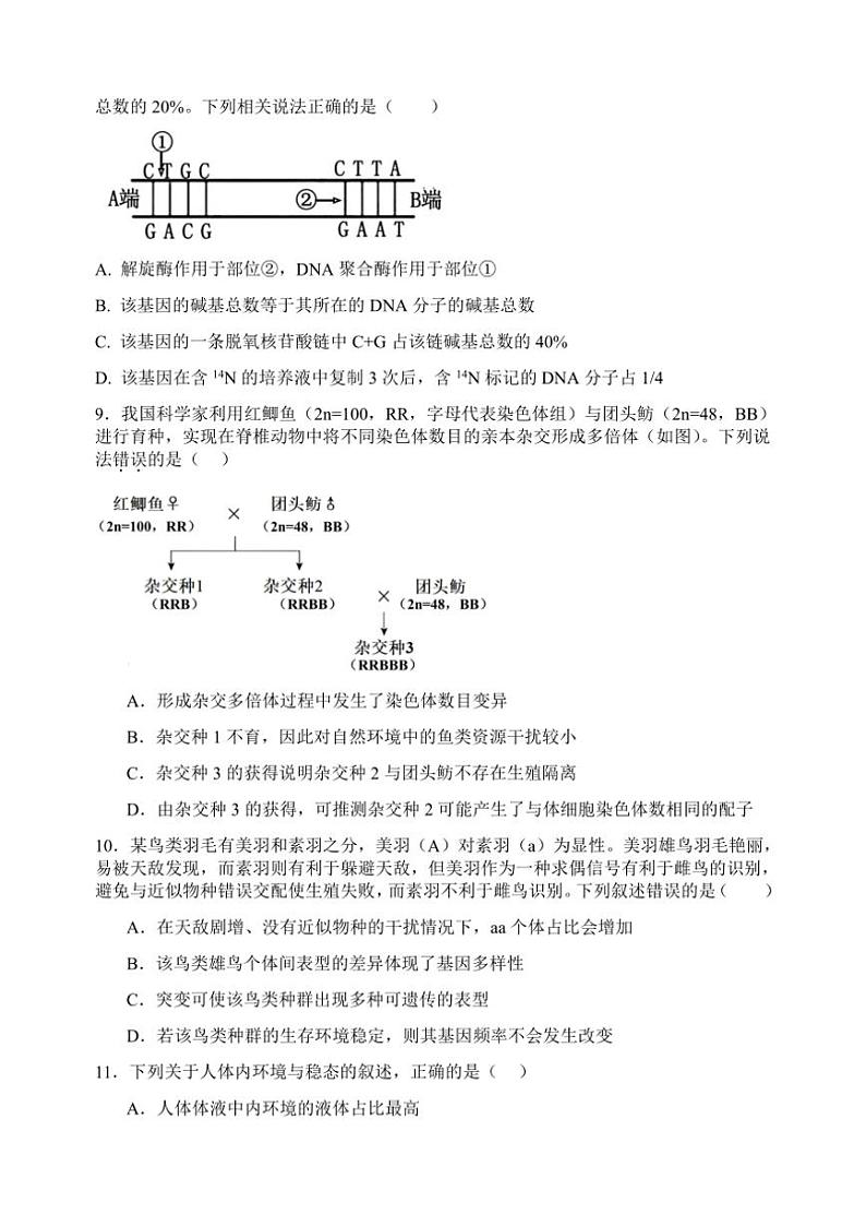 江苏省宿迁市2024～2025学年高三(上)期中生物试卷(含答案)03