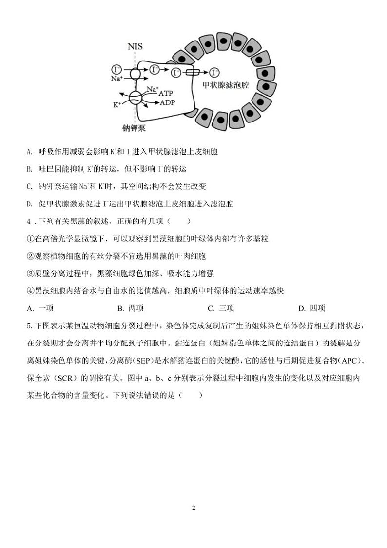 云南省玉溪市一中2024～2025学年高三(上)期中生物试卷第2页