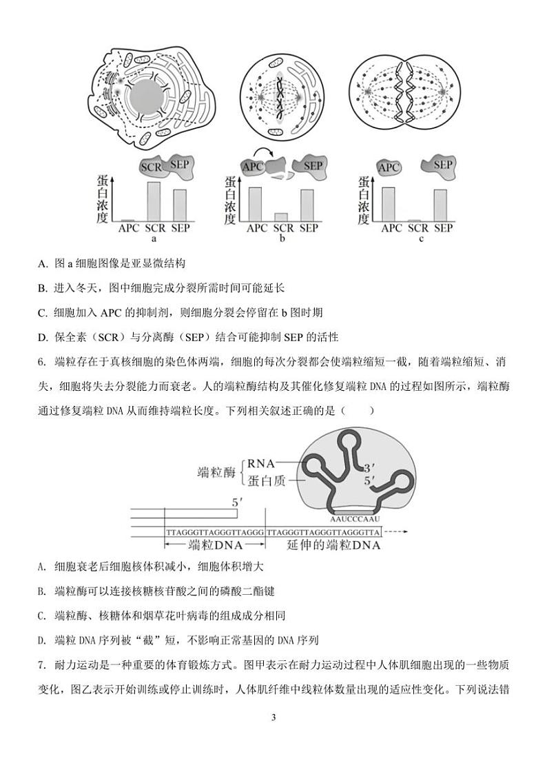 云南省玉溪市一中2024～2025学年高三(上)期中生物试卷第3页