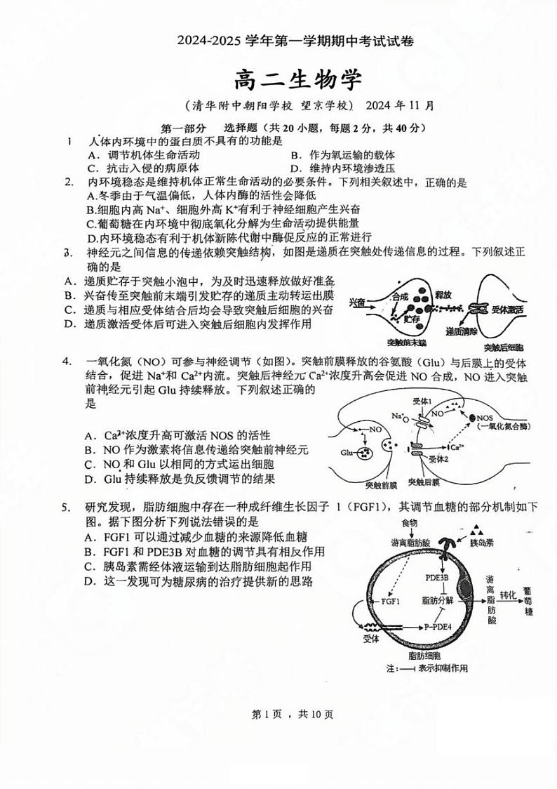 2024北京清华附中朝阳学校高二（上）期中生物试卷第1页