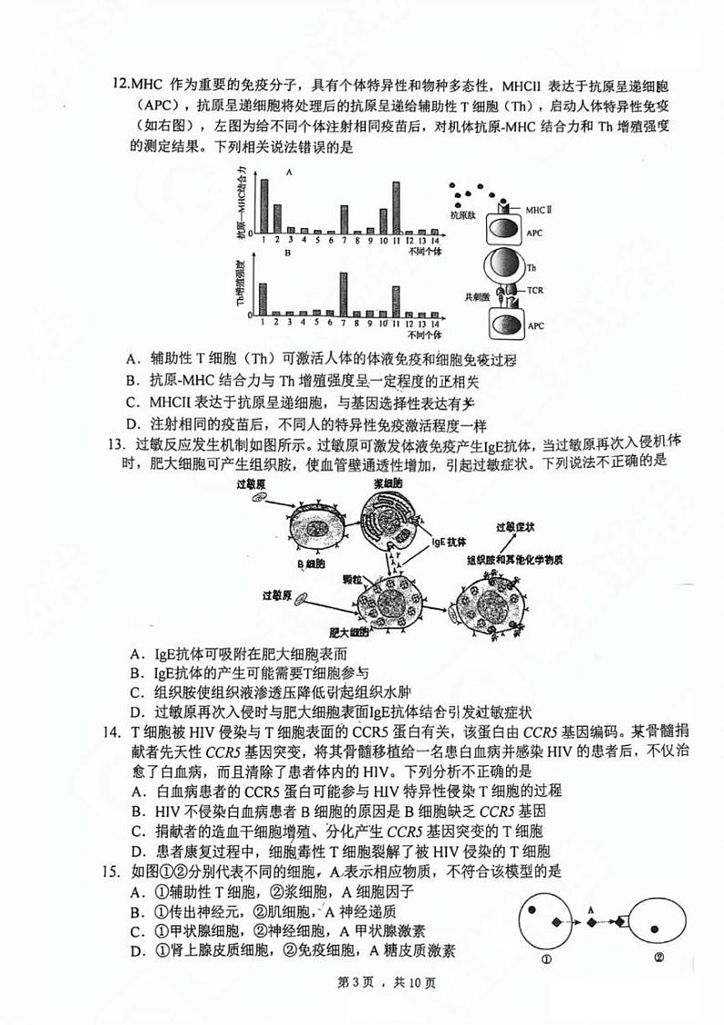 2024北京清华附中朝阳学校高二（上）期中生物试卷第3页
