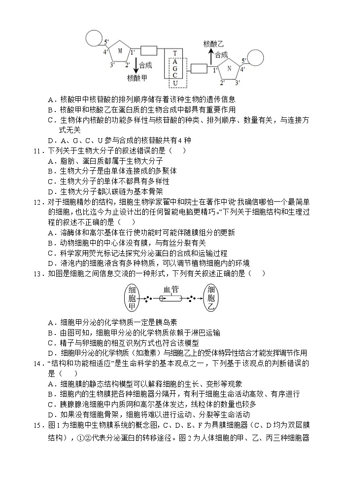 海南省文昌中学2024-2025学年高一上学期11月段考生物试题第3页