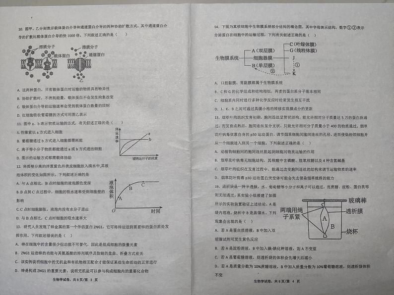 广东省揭阳市惠来县第一中学2024-2025学年高一上学期11月期中生物试题02
