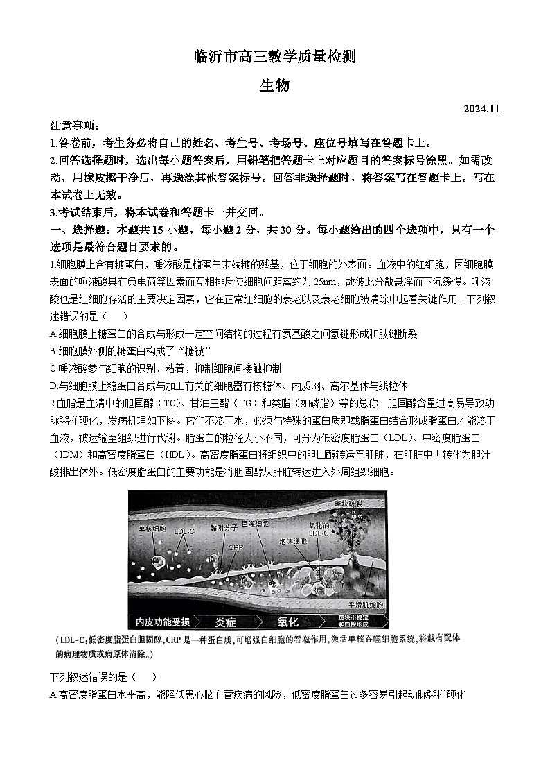 山东省临沂市2024-2025学年高三上学期11月期中考试生物试卷（Word版附答案）第1页