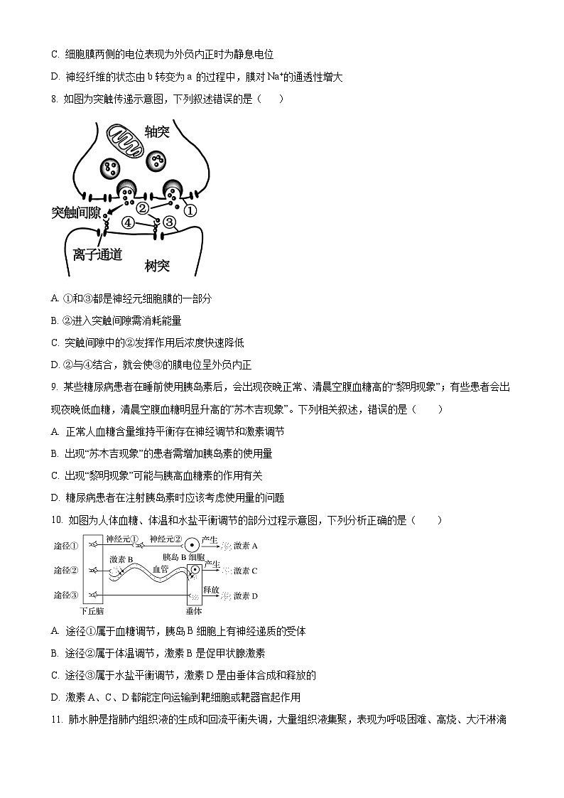 江苏省无锡市江阴市六校2024-2025学年高二上学期11月期中联考生物试卷（Word版附解析）第3页