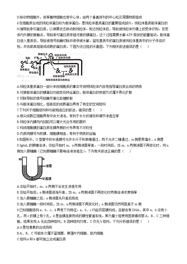 辽宁省沈阳市郊联体2024-2025学年高一上学期11月期中考试生物试卷（Word版附答案）02