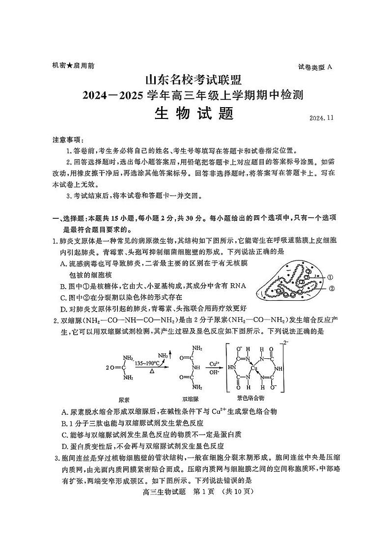 山东省名校考试联盟2024-2025学年高三上学期期中考试生物试卷（PDF版附答案）第1页