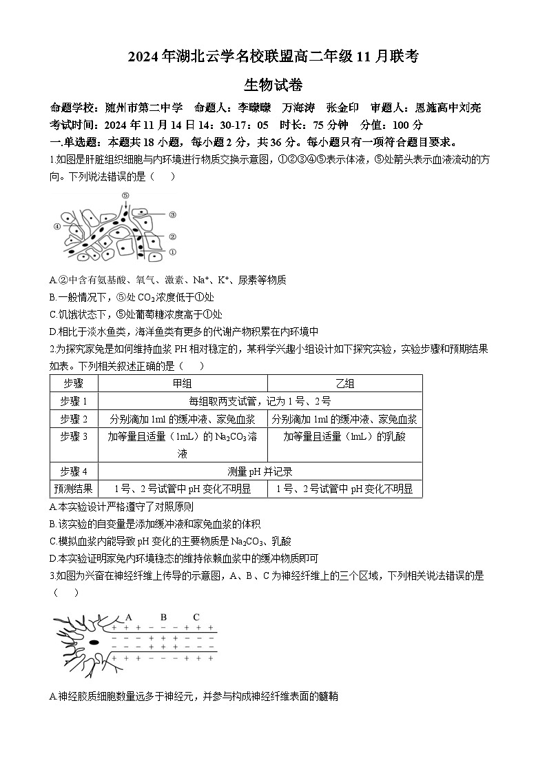 湖北省云学联盟2024-2025学年高二上学期11月期中联考生物试卷（Word版附答案）第1页