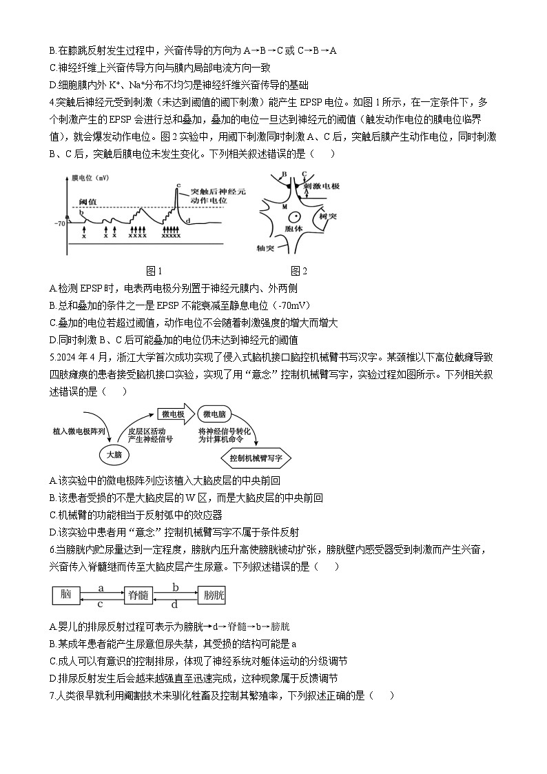 湖北省云学联盟2024-2025学年高二上学期11月期中联考生物试卷（Word版附答案）第2页
