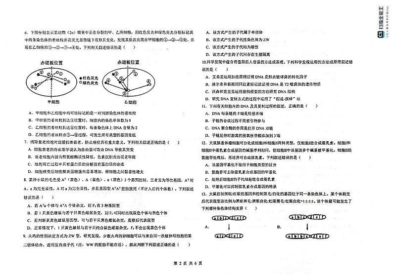 黑龙江省大庆市实验中学实验二部2024-2025学年高三上学期期中考试生物试卷（PDF版附答案）第2页
