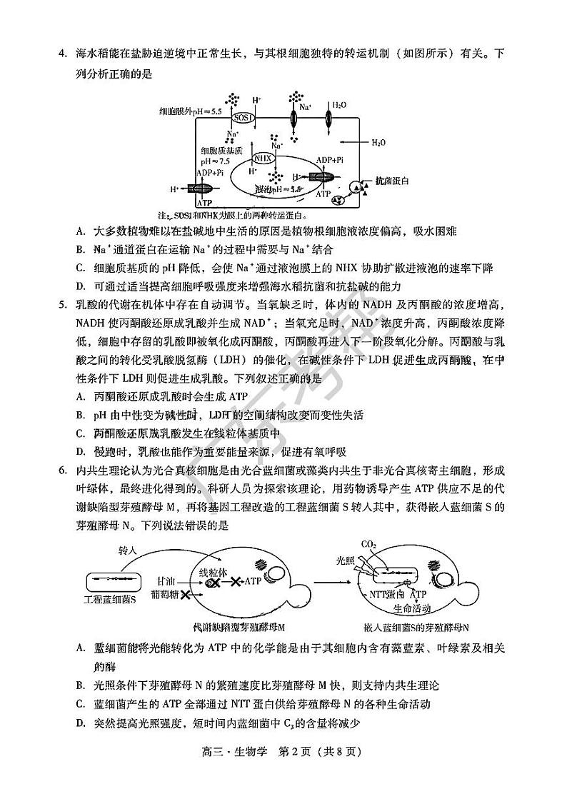 2025届广东省肇庆市高三上学期高考模拟考试-生物试卷+答案第2页