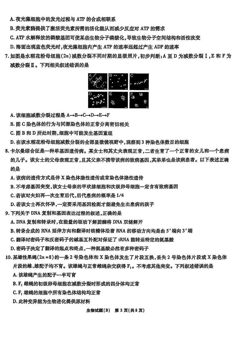 2025届安徽省江淮十校高三上学期11月考-生物试卷+答案第3页