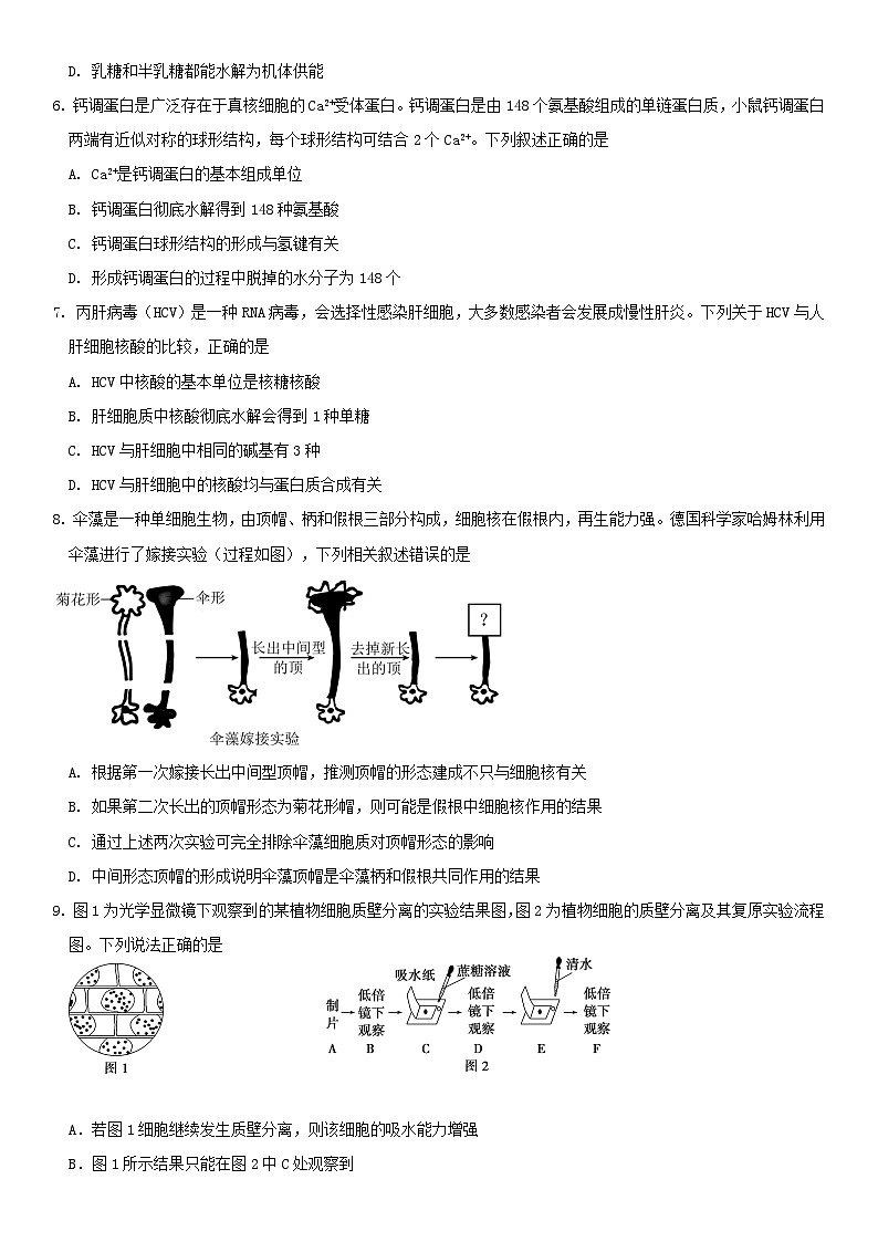 生物月考11月第2页