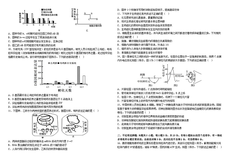 黑龙江省哈尔滨市师范大学附属中学2024-2025学年高三上学期期中考试生物试题02