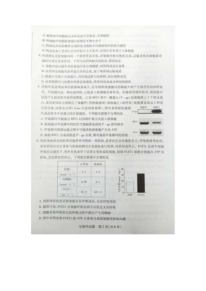 安徽卓越县中联盟2024—2025学年上学期高三期中联考生物试卷第2页