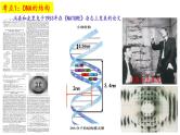 2025届高考生物一轮复习课件：  DNA结构  复制和基因的本质