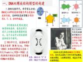 2025届高考生物一轮复习课件：  DNA结构  复制和基因的本质