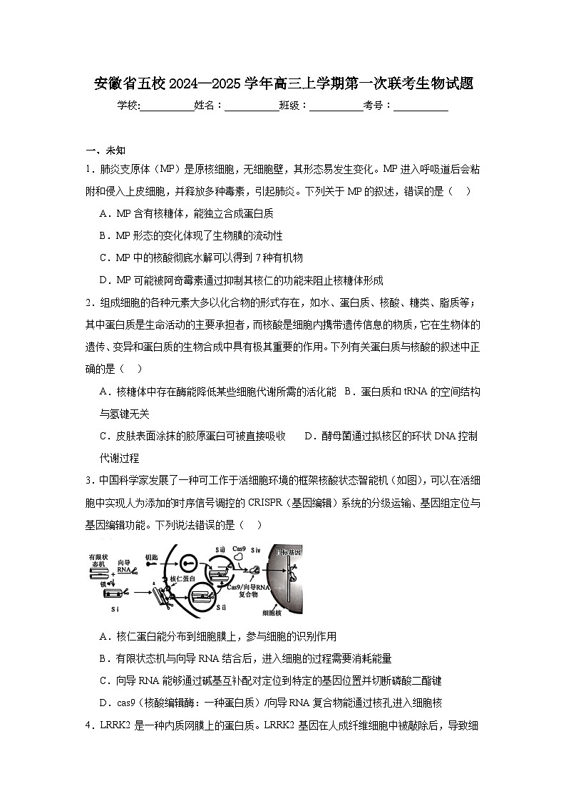 安徽省五校2024—2025学年高三上学期第一次联考生物试题第1页