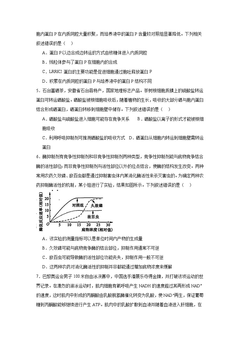 安徽省五校2024—2025学年高三上学期第一次联考生物试题第2页