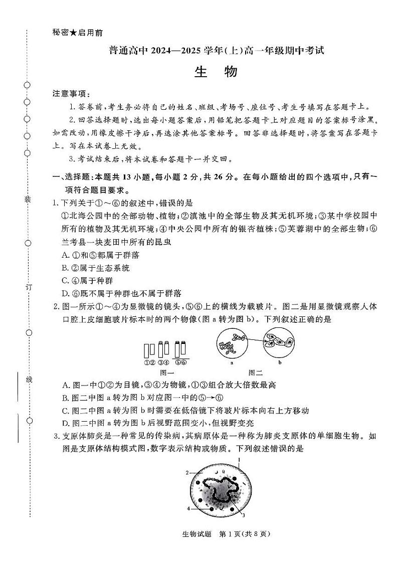 河南驻马店2024-2025学年（上）高一年级期中考试生物试题第1页