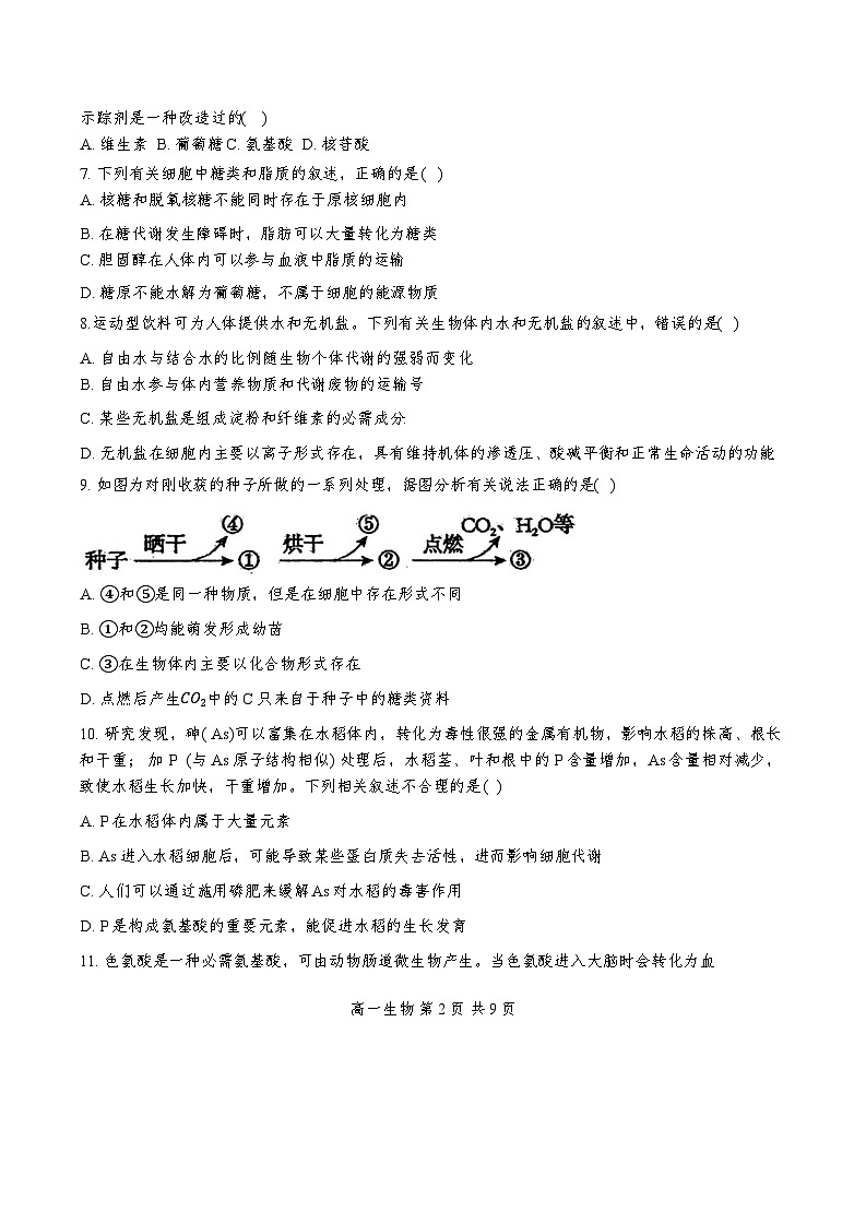 天津市河北区天津市第五十七中学2024-2025学年高一上学期11月期中生物试题02