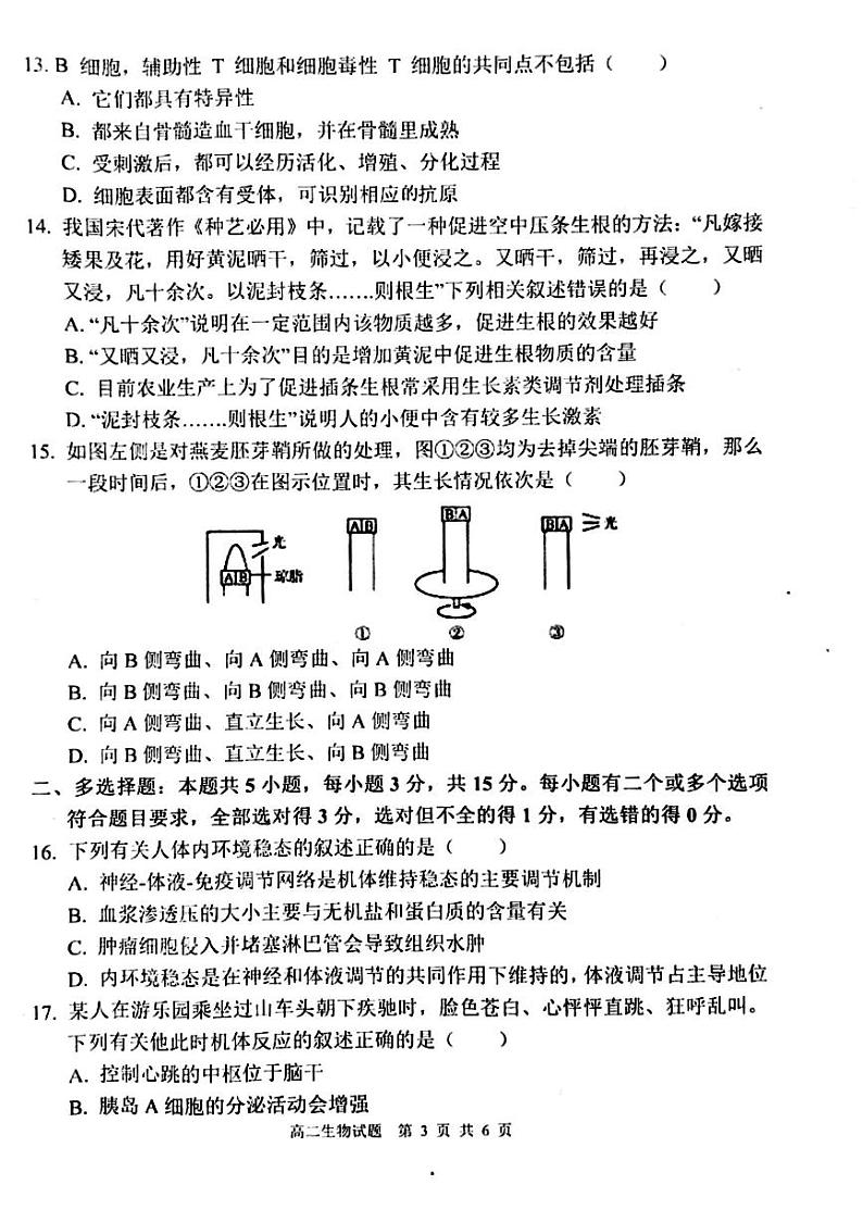 河南省周口市鹿邑县2024-2025学年高二上学期期中考试生物试题第3页