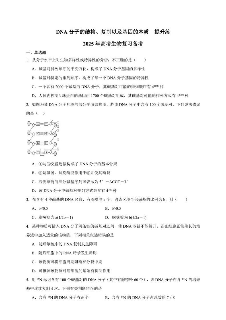 2025年高考生物一轮复习 DNA分子的结构、复制以及基因的本质 提升练第1页