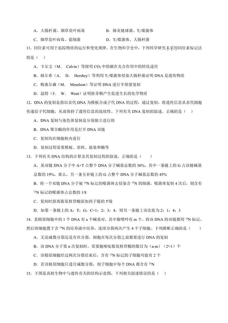2025年高考生物一轮复习 DNA分子的结构、复制以及基因的本质 提升练第3页