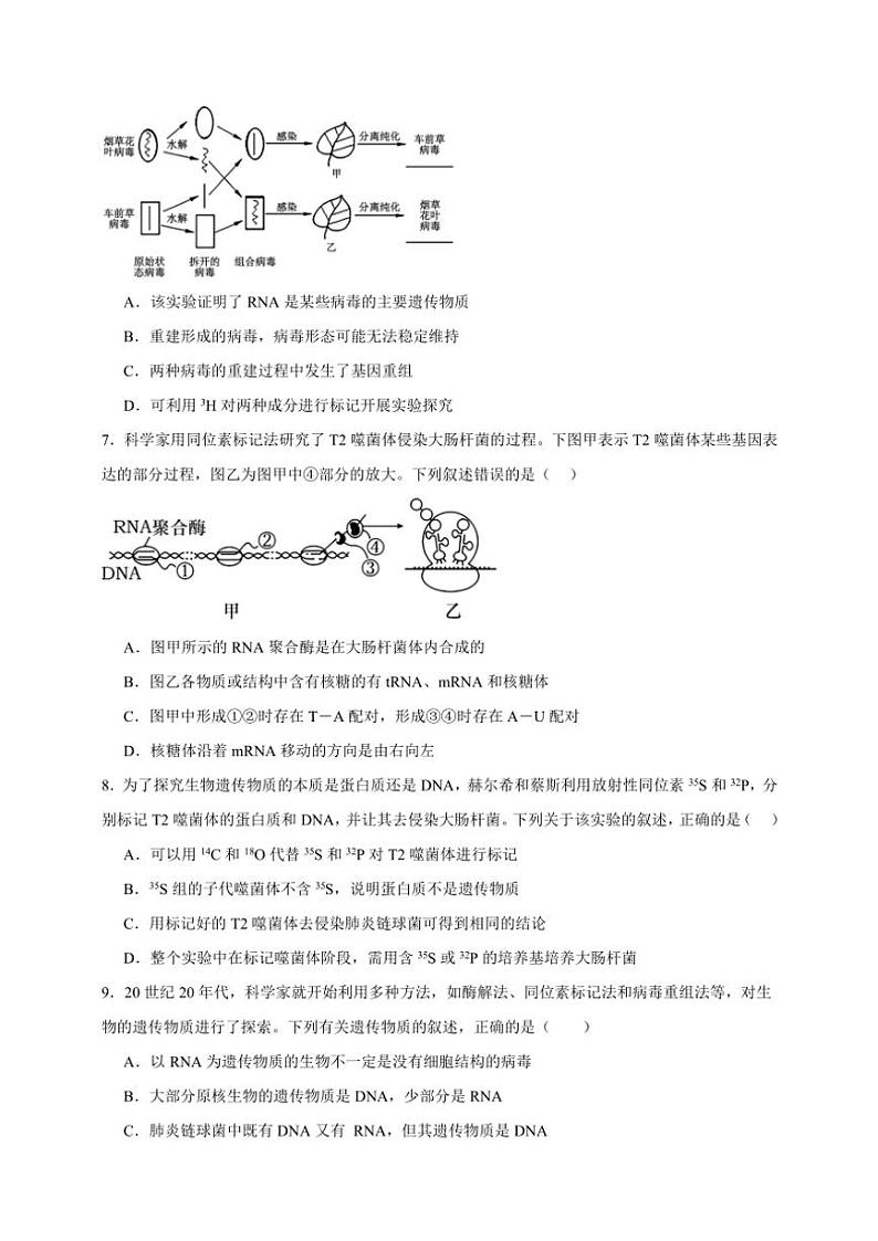 2025年高考生物一轮复习 DNA是主要的遗传物质 基础练第3页