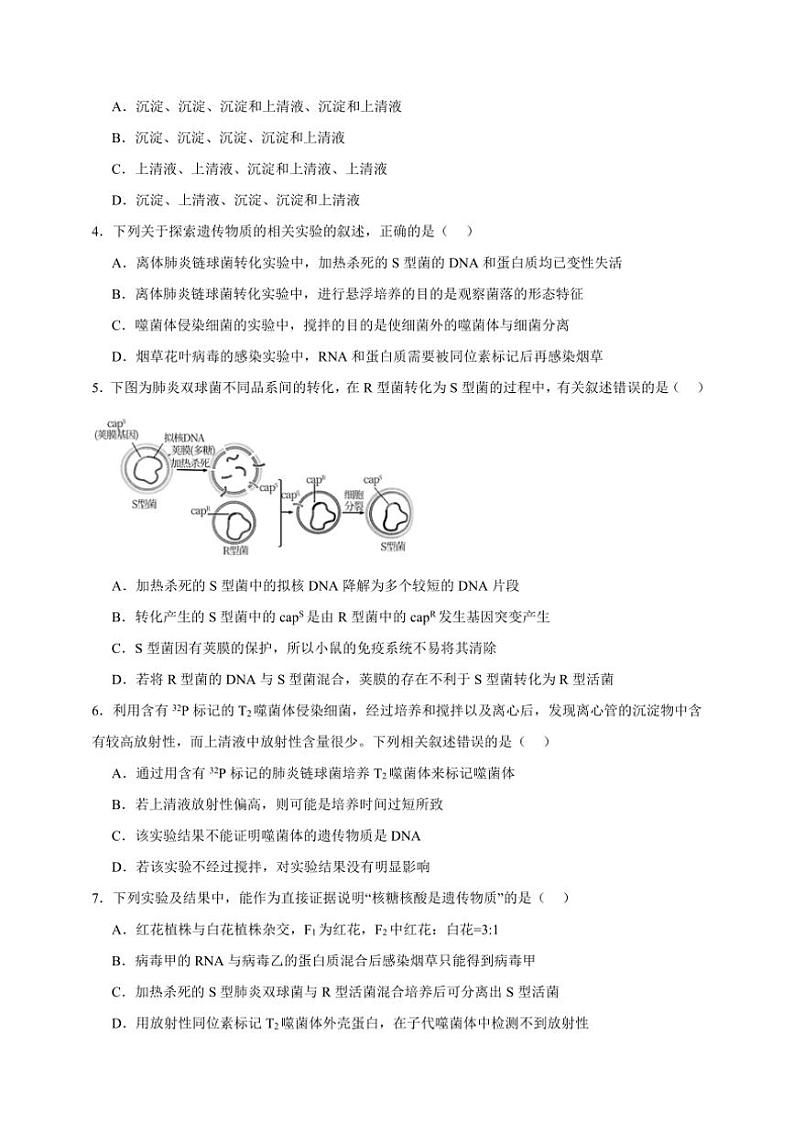 2025年高考生物一轮复习 DNA是主要的遗传物质 提升练第2页