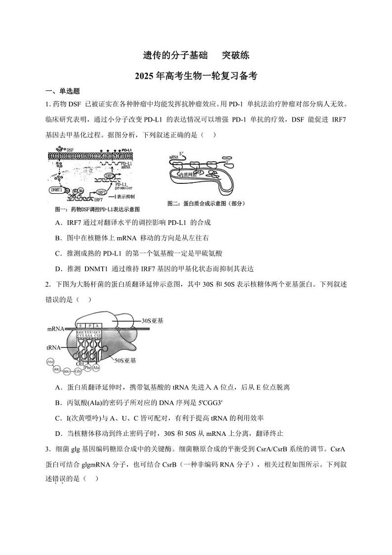 2025年高考生物一轮复习 遗传的分子基础 突破练第1页