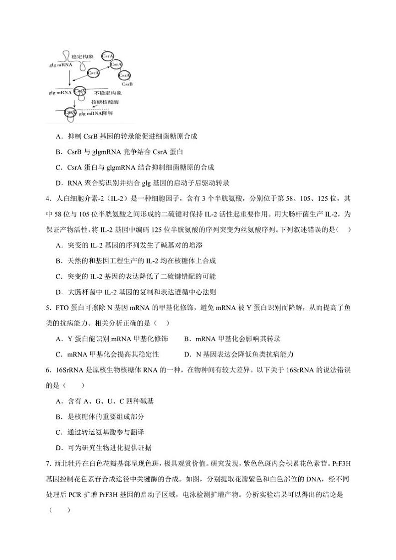 2025年高考生物一轮复习 遗传的分子基础 突破练第2页