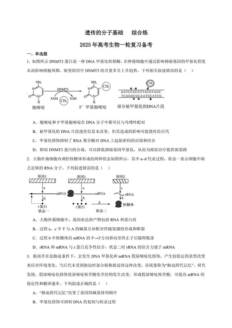 2025年高考生物一轮复习 遗传的分子基础 综合练第1页