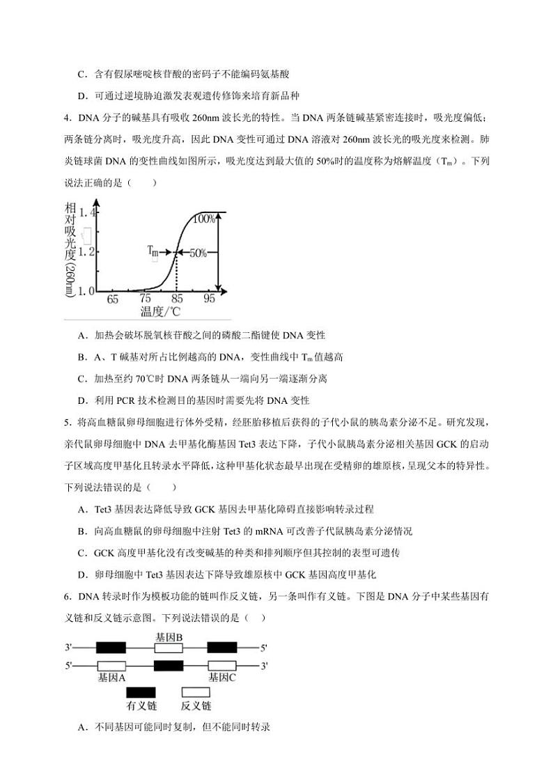 2025年高考生物一轮复习 遗传的分子基础 综合练第2页