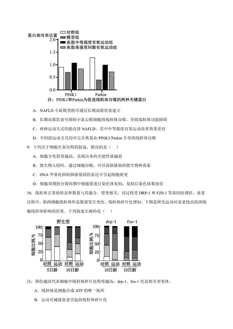 2025年高考生物一轮复习 细胞分化、衰老和凋亡 综合练第3页